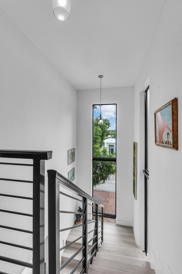 stairs with hardwood / wood-style floors