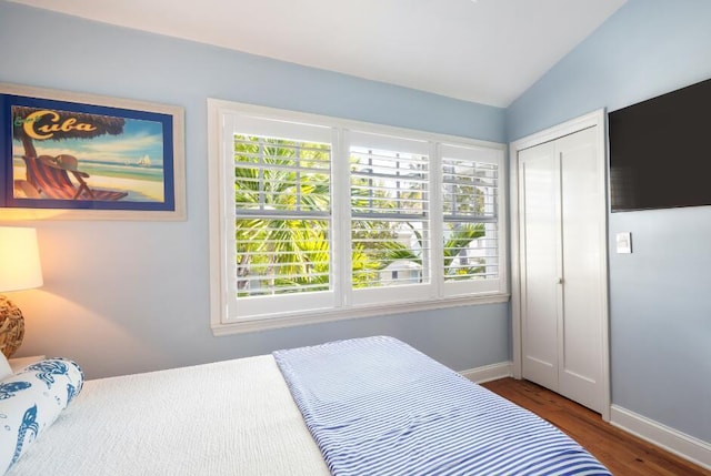 bedroom featuring dark wood-type flooring, vaulted ceiling, and a closet