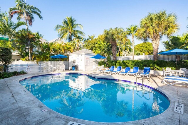 view of swimming pool with a patio area