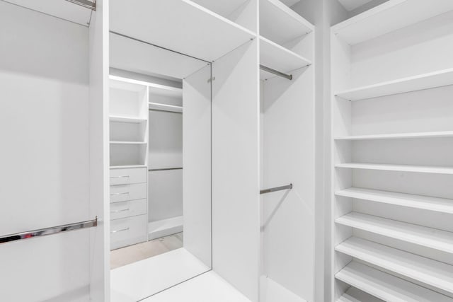 view of walk in closet