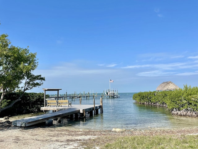 113 Key Heights Dr, Tavernier, FL 33070 - photo 36