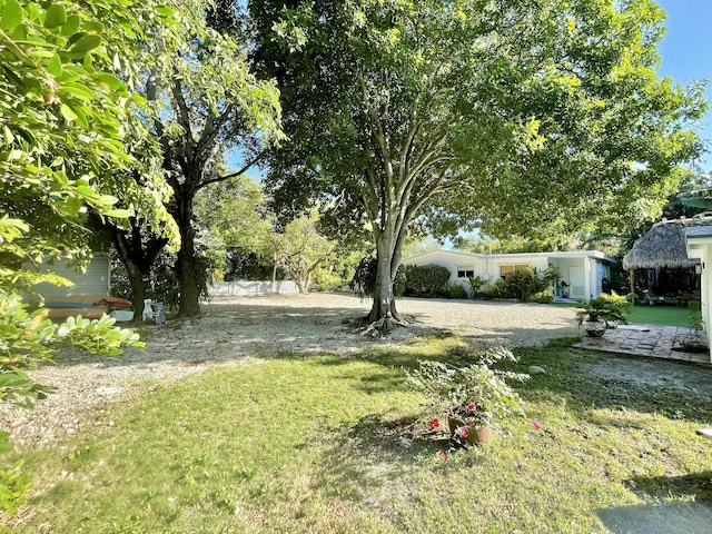 view of green lawn
