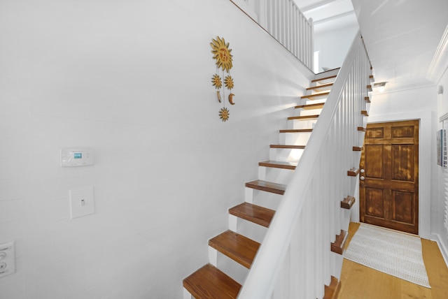 staircase featuring wood finished floors