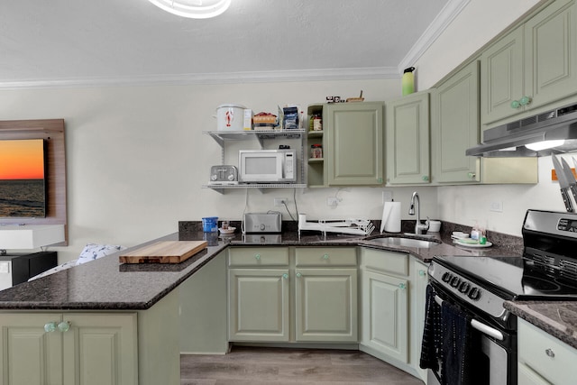 kitchen with ornamental molding, under cabinet range hood, a sink, white microwave, and stainless steel electric stove