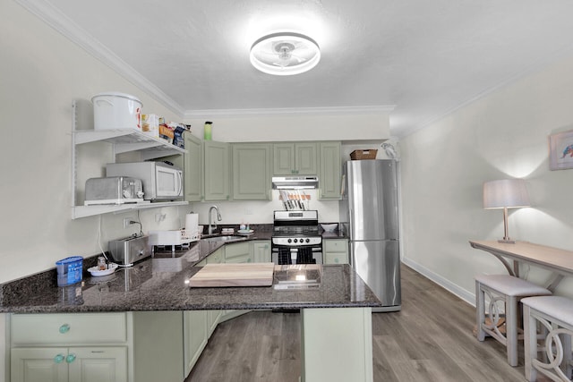 kitchen featuring under cabinet range hood, a sink, green cabinetry, a peninsula, and appliances with stainless steel finishes