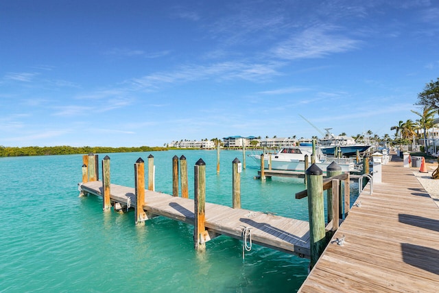 dock area with a water view