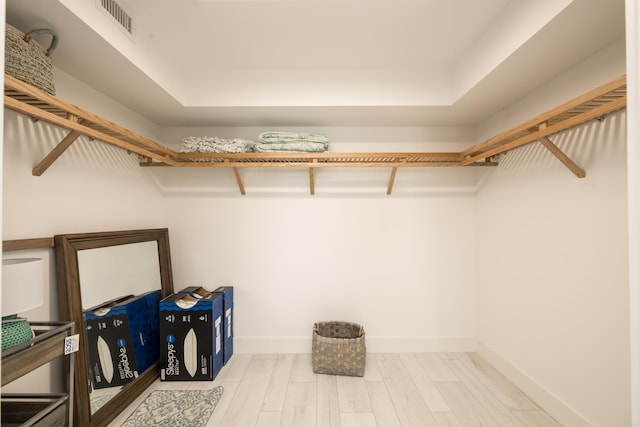 spacious closet with light wood-type flooring