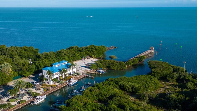 500 Burton Dr Unit 2313, Tavernier, FL 33070 - photo 31