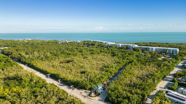 500 Burton Dr Unit 2313, Tavernier, FL 33070 - photo 26