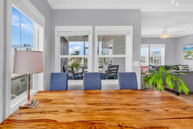 dining room with ceiling fan and ornamental molding