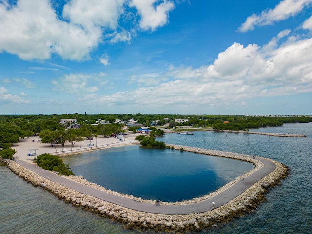 bird's eye view of a nearby body of water