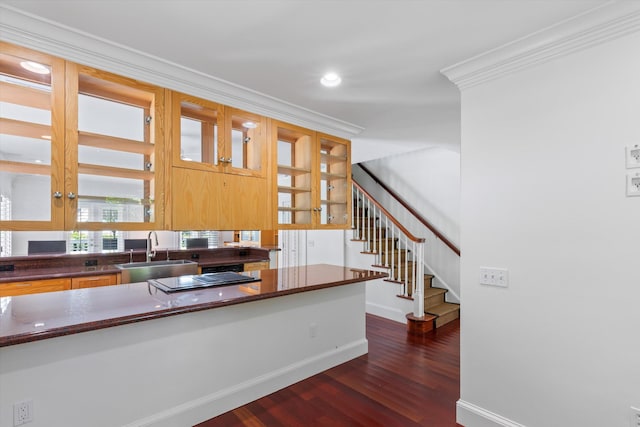 413 Emma St Unit A, Key West, FL 33040 - kitchen featuring dark wood-style flooring, dark countertops, crown molding, black electric stovetop, and glass insert cabinets