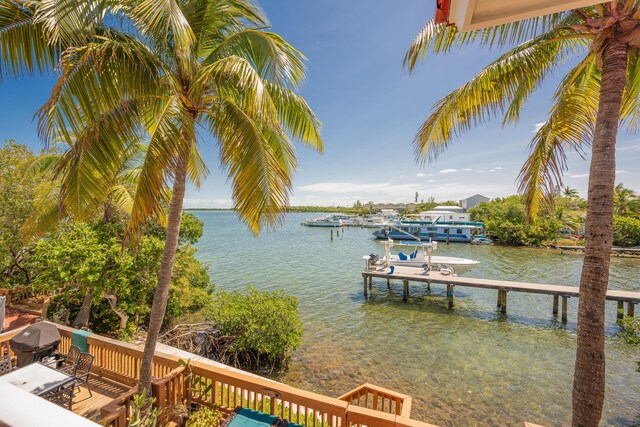 dock area featuring a water view