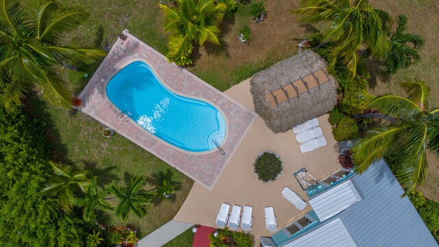 view of swimming pool