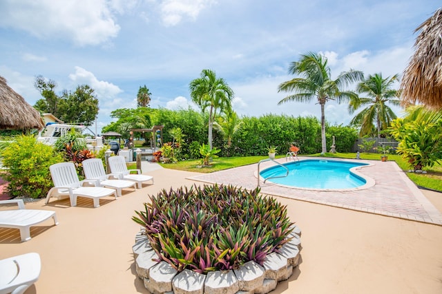 view of pool featuring a patio area