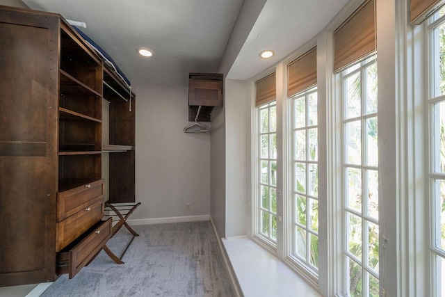 spacious closet featuring light colored carpet