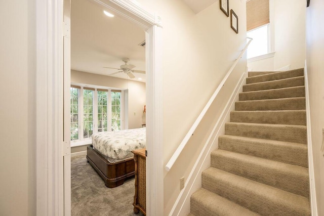 stairs with carpet floors and ceiling fan