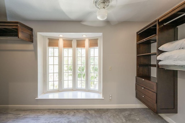 walk in closet with carpet