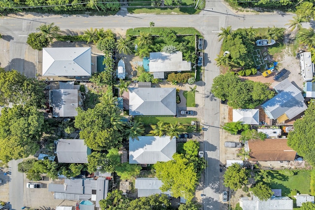 drone / aerial view