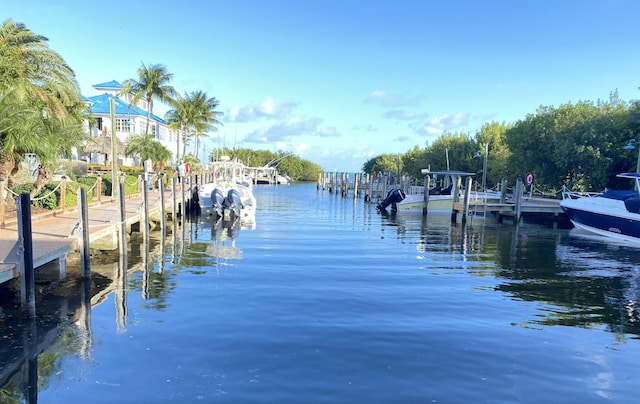 dock area featuring a water view