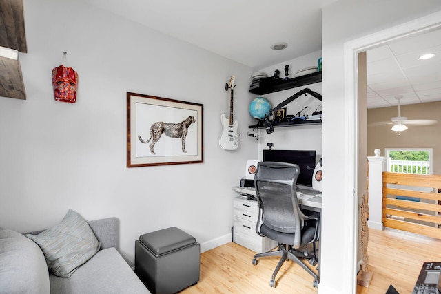 office space featuring ceiling fan, hardwood / wood-style floors, and a drop ceiling