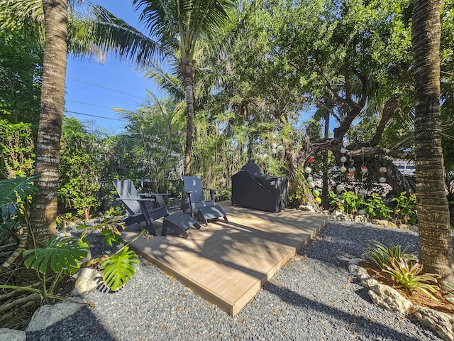 view of yard featuring a patio