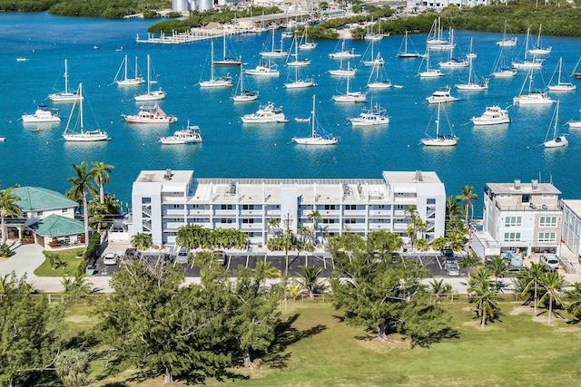 aerial view with a water view