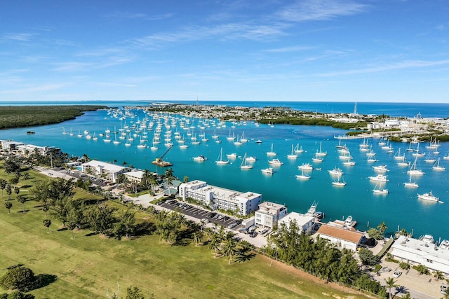 aerial view featuring a water view