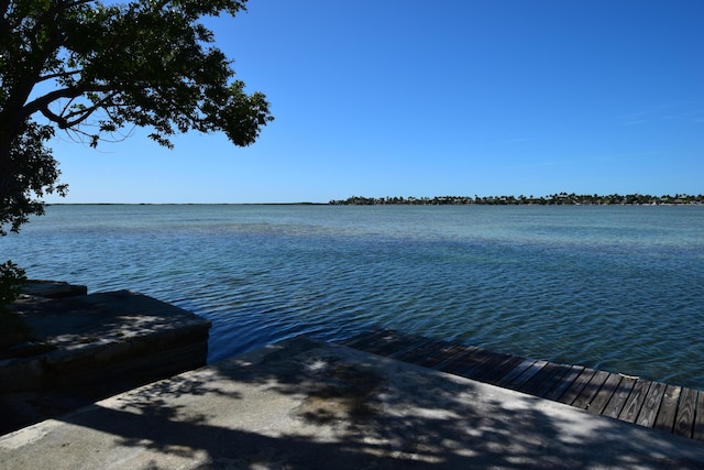 water view featuring a dock