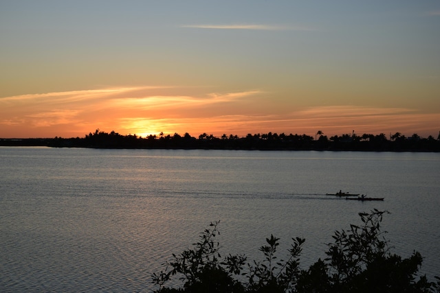 yard at dusk with a water view