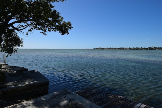 view of water feature