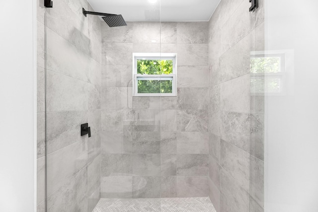 159 Iroquois Dr, Islamorada, FL 33036 - bathroom with tiled shower