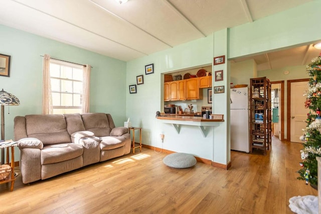 living room with light hardwood / wood-style flooring