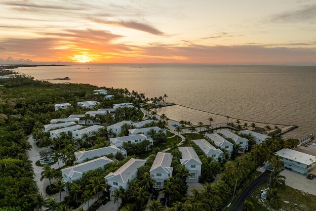 aerial view at dusk featuring a water view