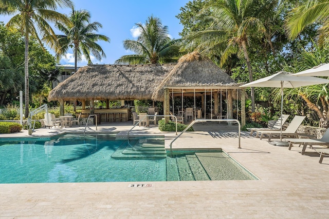 view of swimming pool with a patio and exterior bar