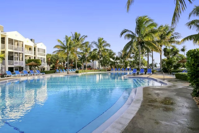 view of swimming pool featuring a patio area