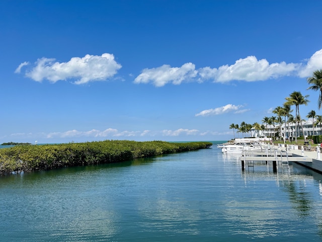 property view of water with a dock
