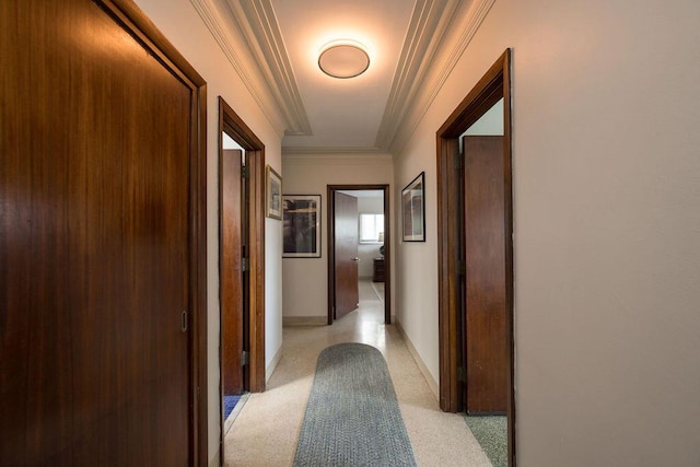 corridor featuring ornamental molding