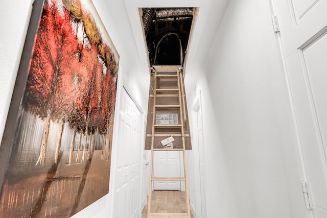 stairway with hardwood / wood-style floors