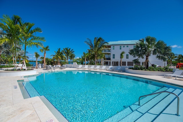 view of swimming pool with a patio area