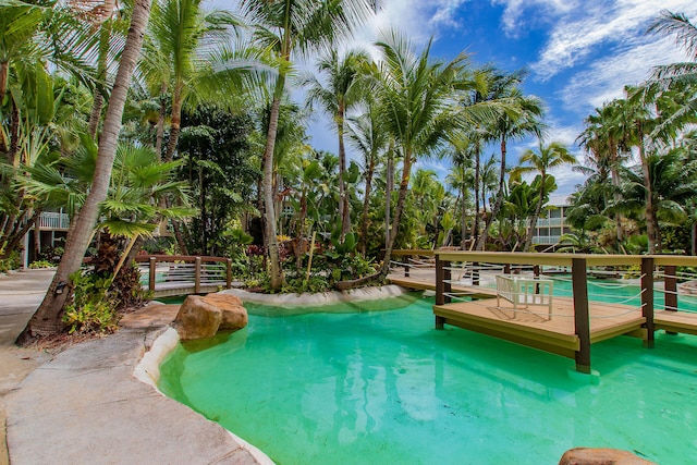 view of swimming pool