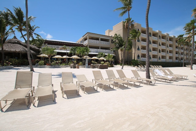 view of pool featuring a patio