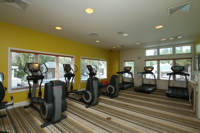 exercise room featuring plenty of natural light, carpet, and visible vents