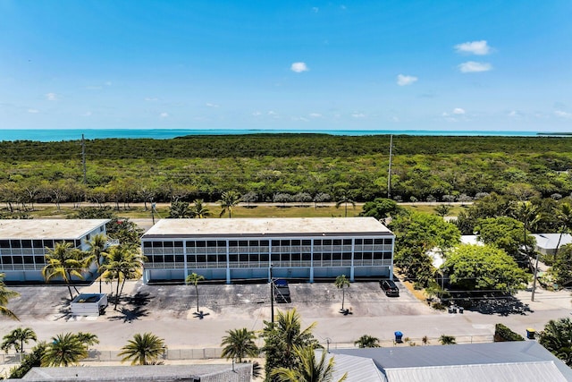 119 Cortez Dr Unit 8G, Islamorada, FL 33036 - bird's eye view of a forest and a large body of water