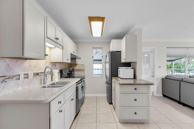 460470 11th St, Key Colony, FL 33051 - kitchen featuring electric range oven, white microwave, crown molding, under cabinet range hood, and a sink
