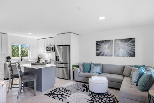 living room featuring light hardwood / wood-style floors and sink