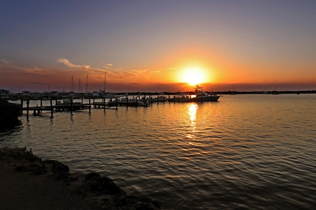 property view of water with a boat dock