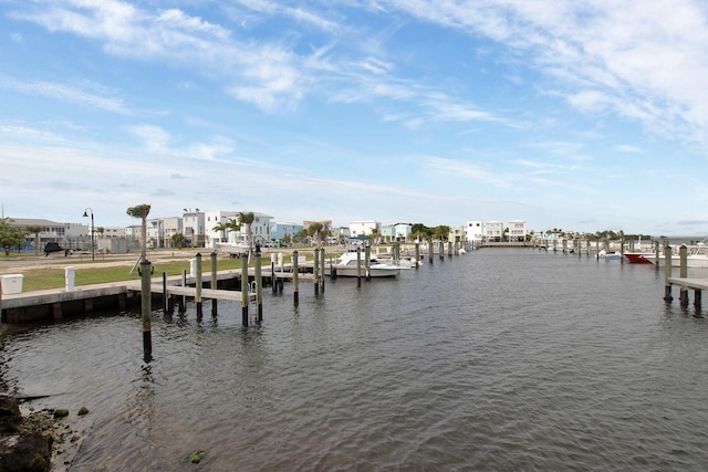 dock area with a water view