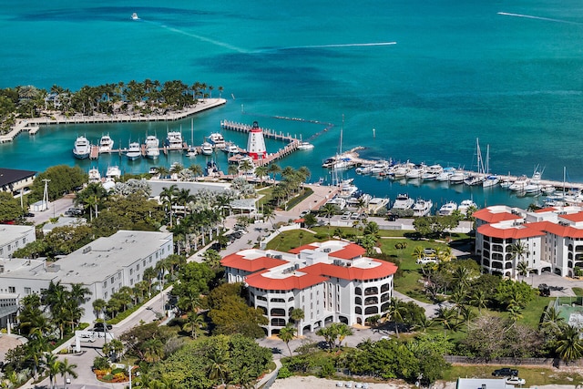 bird's eye view with a water view