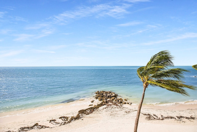 water view featuring a view of the beach